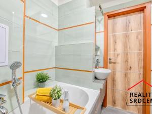 Pronájem bytu 1+1, Karviná, Kašparova, 37 m2