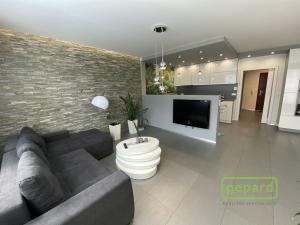 Pronájem bytu 1+kk, Olomouc, Wellnerova, 62 m2