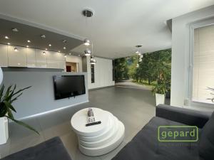Pronájem bytu 1+kk, Olomouc, Wellnerova, 62 m2