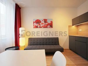 Pronájem bytu 1+kk, Brno, Kobližná, 33 m2