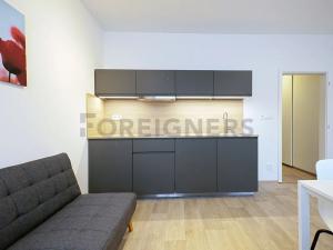 Pronájem bytu 1+kk, Brno, Kobližná, 33 m2