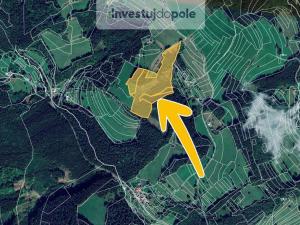 Prodej lesa, Valašská Senice, 54930 m2