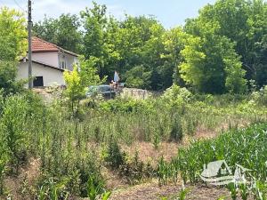 Prodej rodinného domu, Zhiten, Bulharsko, 100 m2