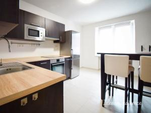 Pronájem bytu 1+1, Brno - Trnitá, Křenová, 48 m2