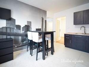 Pronájem bytu 1+1, Brno - Trnitá, Křenová, 48 m2