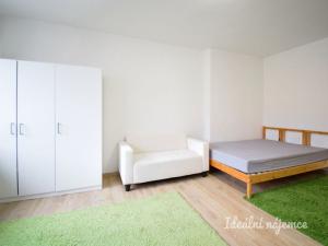 Pronájem bytu 1+1, Brno - Trnitá, Křenová, 48 m2