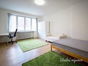 Pronájem bytu 1+1, Brno - Trnitá, Křenová, 48 m2
