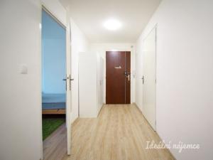 Pronájem bytu 1+1, Brno - Trnitá, Křenová, 48 m2