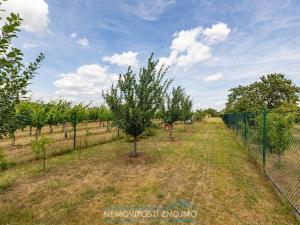 Prodej vícegeneračního domu, Drnholec, Wolkerova, 244 m2