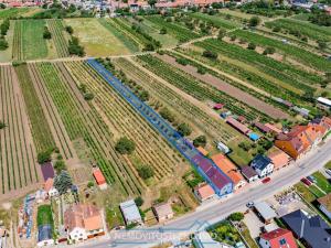 Prodej vícegeneračního domu, Drnholec, Wolkerova, 244 m2