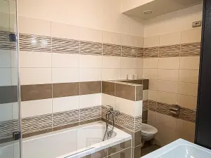 Pronájem bytu 2+kk, Plzeň, Vstupní, 53 m2
