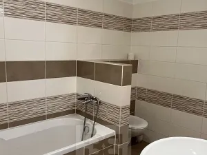 Pronájem bytu 2+kk, Plzeň, Vstupní, 53 m2