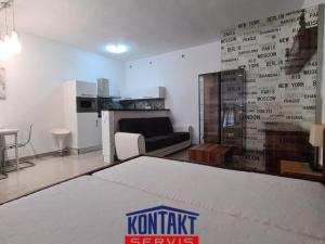 Pronájem bytu 1+kk, České Budějovice - České Budějovice 3, 59 m2