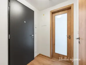 Pronájem bytu 1+kk, Praha - Vysočany, Kolbenova, 33 m2