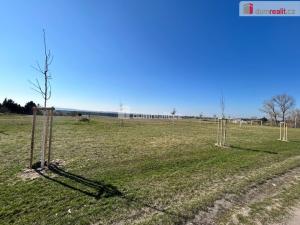 Prodej pozemku pro bydlení, Uhlířská Lhota, 7007 m2