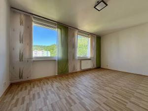 Prodej bytu 2+1, Děčín, Na Pěšině, 50 m2
