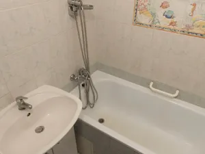 Prodej bytu 2+1, Praha - Hloubětín, Zelenečská, 48 m2