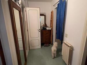 Prodej bytu 3+1, Montesilvano,Itálie, 85 m2
