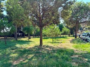 Prodej bytu 3+1, Montesilvano,Itálie, 85 m2