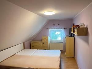 Prodej rodinného domu, Bělá pod Pradědem - Adolfovice, 270 m2