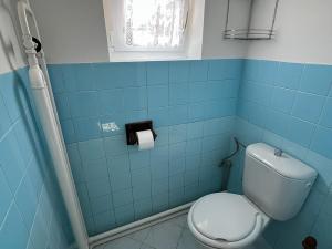 Prodej rodinného domu, Bělá pod Pradědem - Adolfovice, 270 m2