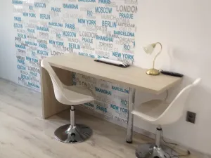 Pronájem bytu 1+kk, Ostrava, U Sokolovny, 26 m2