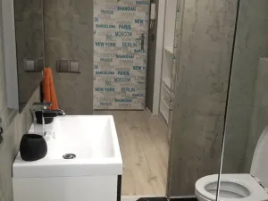 Pronájem bytu 1+kk, Ostrava, U Sokolovny, 26 m2