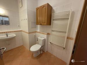 Pronájem bytu 1+kk, Praha - Strašnice, Názovská, 38 m2