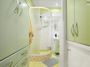 Pronájem bytu 3+1, Ústí nad Labem - Neštěmice, Opletalova, 78 m2