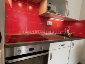 Pronájem bytu 1+kk, České Budějovice - České Budějovice 3, Jírovcova, 30 m2