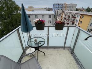 Pronájem bytu 1+kk, České Budějovice - České Budějovice 3, Jírovcova, 30 m2