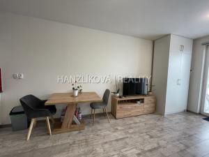 Pronájem bytu 1+kk, České Budějovice - České Budějovice 3, Jírovcova, 30 m2