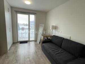 Pronájem bytu 1+kk, České Budějovice - České Budějovice 3, Jírovcova, 30 m2