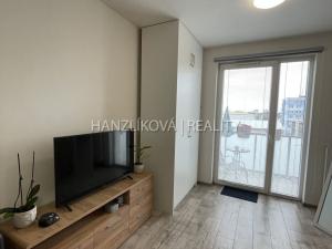 Pronájem bytu 1+kk, České Budějovice - České Budějovice 3, Jírovcova, 30 m2