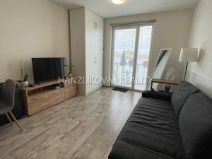 Pronájem bytu 1+kk, České Budějovice - České Budějovice 3, Jírovcova, 30 m2