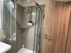Pronájem bytu 1+kk, České Budějovice - České Budějovice 3, Jírovcova, 30 m2