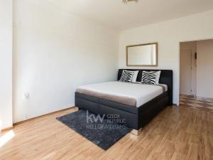 Pronájem bytu 2+1, Praha - Dejvice, Evropská, 60 m2