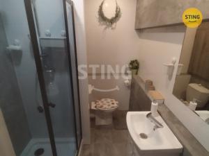 Pronájem bytu 1+1, Třinec, Sosnová, 32 m2