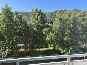 Pronájem bytu 2+1, Děčín - Děčín IX-Bynov, Teplická, 65 m2