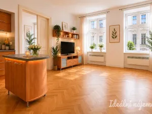 Pronájem bytu 3+kk, Brno - Staré Brno, Bezručova, 85 m2