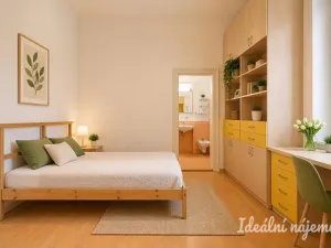 Pronájem bytu 3+kk, Brno - Staré Brno, Bezručova, 85 m2