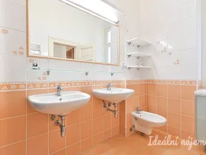 Pronájem bytu 3+kk, Brno - Staré Brno, Bezručova, 85 m2