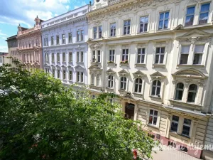 Pronájem bytu 3+kk, Brno - Staré Brno, Bezručova, 85 m2