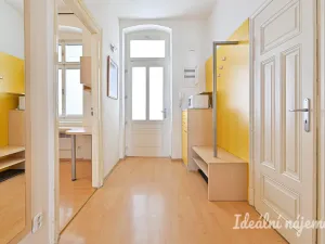 Pronájem bytu 3+kk, Brno - Staré Brno, Bezručova, 85 m2