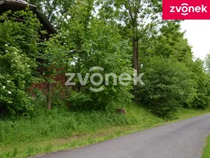 Prodej pozemku pro bydlení, Hustopeče nad Bečvou - Poruba, 2553 m2