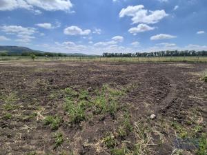 Prodej pozemku pro bydlení, Dolní Dunajovice, 1250 m2