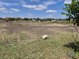 Prodej pozemku pro bydlení, Dolní Dunajovice, 1250 m2