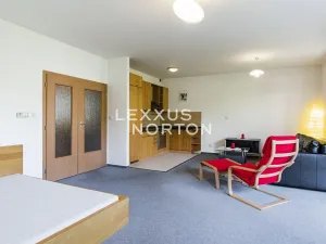 Pronájem bytu 1+kk, Praha - Košíře, Naskové, 60 m2