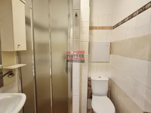 Pronájem bytu 1+1, Sezimovo Ústí, Lipová, 32 m2