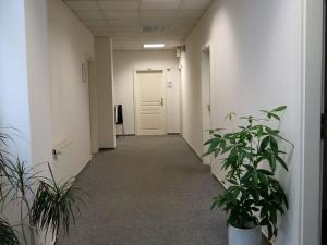Pronájem kanceláře, Plzeň, náměstí Republiky, 39 m2